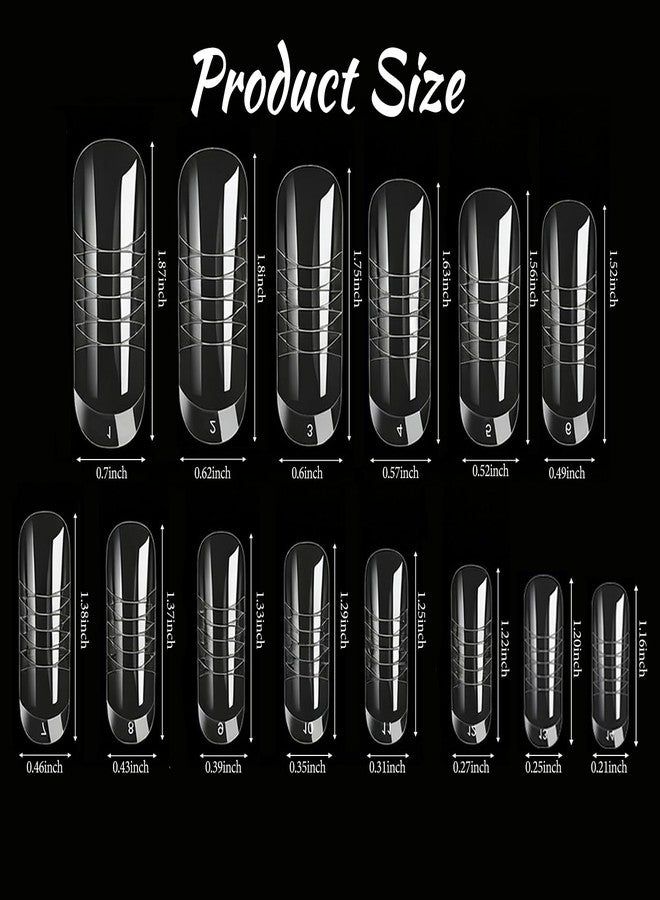 Dancepanda Polygel Toenail Kit for Toes,Polygel Nail Kit,Toe Nail Tips,Dual Forms for Polygel Toenail Forms(60PCS) - Image 2